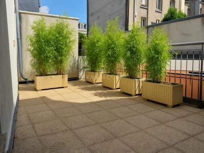 Annonce Vente 2 pices Appartement Tours 37