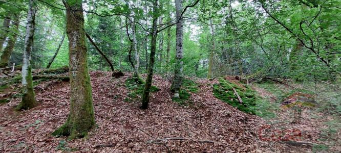 For sale Champagney 9088 m2 Haute saone (70290) photo 0