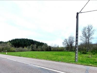 Acheter Terrain Plancher-bas 9900 euros