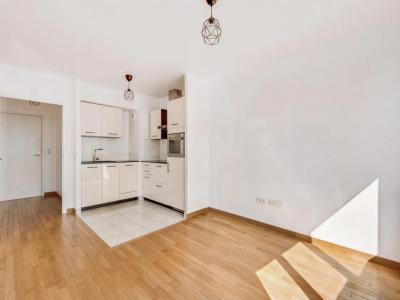 Acheter Appartement 42 m2 Issy-les-moulineaux