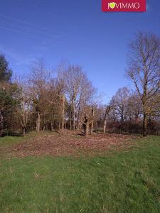 Annonce Vente Terrain Sillars 86