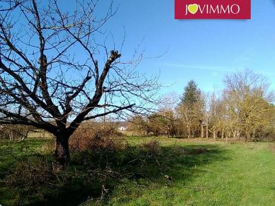 Acheter Terrain Sillars Vienne