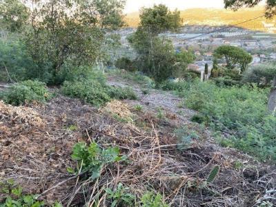 For sale Mandelieu-la-napoule 1078 m2 Alpes Maritimes (06210) photo 3