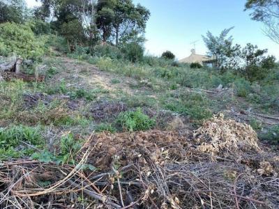 For sale Mandelieu-la-napoule 1078 m2 Alpes Maritimes (06210) photo 4