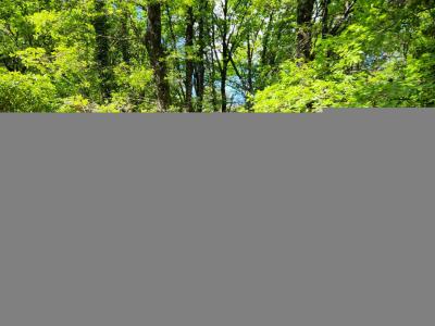 Acheter Maison  402000 euros