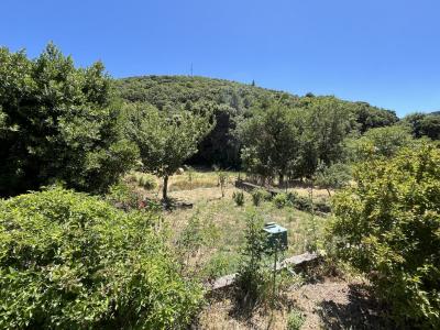 For sale 6 rooms 144 m2 Herault (34220) photo 3