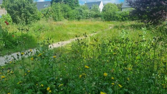 Annonce Vente Terrain Baule-escoublac 44