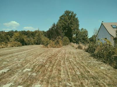 Acheter Terrain 2806 m2 Charme