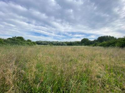 Acheter Terrain 25000 m2 Villelaure