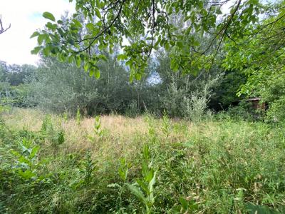 Acheter Terrain Villelaure Vaucluse