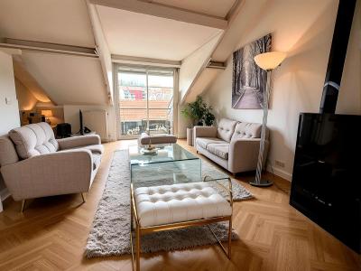 Acheter Appartement 183 m2 Saint-germain-sur-rhone