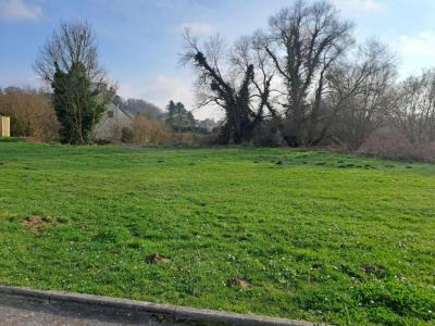 Annonce Vente Terrain Coucy-le-chateau-auffrique 02