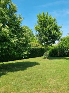 Acheter Maison Plaimpied-givaudins Cher