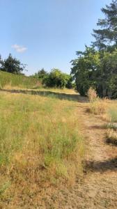 Annonce Vente Terrain Chateauroux 36