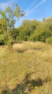 Acheter Terrain 2541 m2 Chateauroux