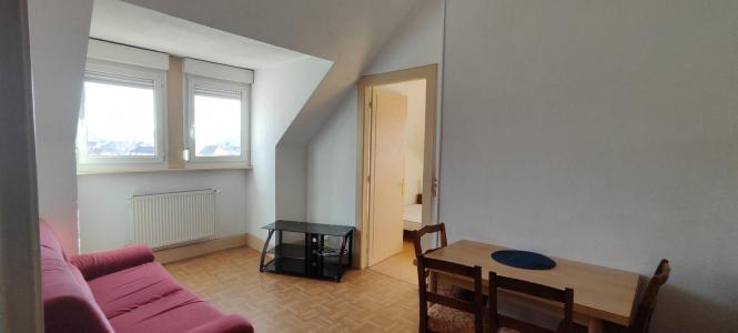 Acheter Appartement 45 m2 Delle