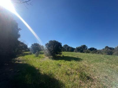 Annonce Vente Terrain Pignan 34