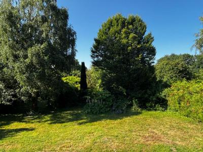 Acheter Maison 147 m2 Bohalle