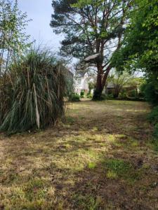 For sale Minihic-sur-rance 150 m2 Ille et vilaine (35870) photo 1