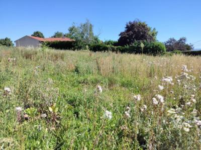 Annonce Vente Terrain Beauregard-l'eveque 63