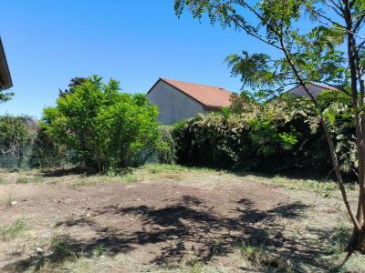 Acheter Maison 75 m2 Teil