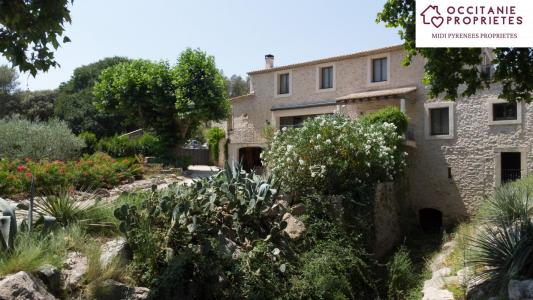 Acheter Prestige 366 m2 Montpellier