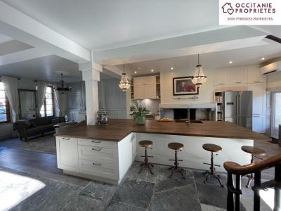 For sale Saint-beat 8 rooms 223 m2 Haute garonne (31440) photo 2