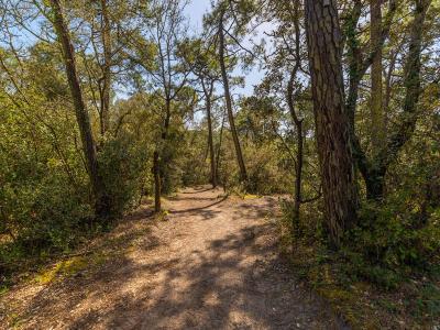 Acheter Programme neuf Saint-jean-de-monts 174000 euros