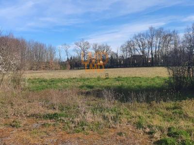 Annonce Vente Terrain Villemur-sur-tarn 31