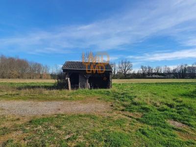 Acheter Terrain 959 m2 Villemur-sur-tarn
