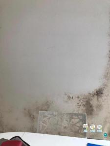 For rent Vanves 5 rooms 32 m2 Hauts de Seine (92170) photo 0