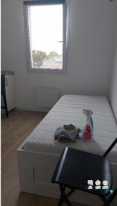 For rent Lille 1 room 14 m2 Nord (59800) photo 1