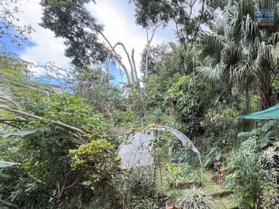 Annonce Vente Terrain Avirons 974