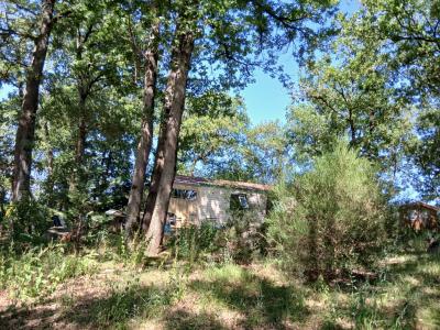 Annonce Vente 5 pices Maison  32