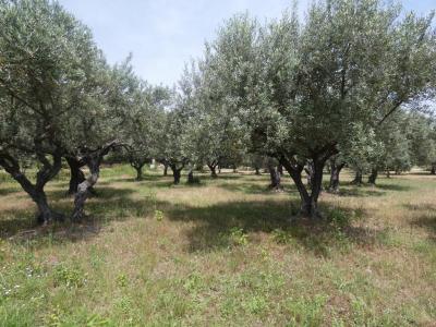 For sale Salernes 2 rooms 33 m2 Var (83690) photo 2