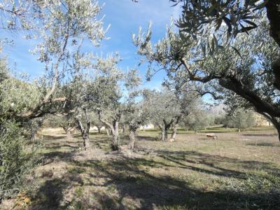 For sale Salernes 2 rooms 33 m2 Var (83690) photo 3