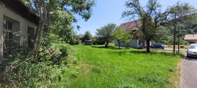 Annonce Vente Terrain Dolleren 68