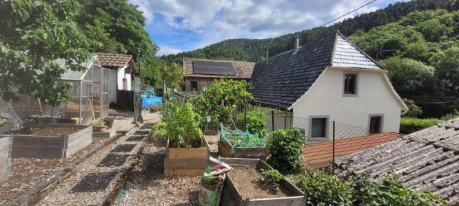 Annonce Vente 5 pices Maison Oberbruck 68