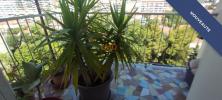 For sale Apartment Marseille-13eme-arrondissement 56 m2 3 pieces