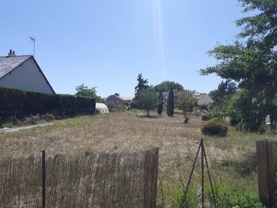 Annonce Vente Terrain Longue-jumelles 49