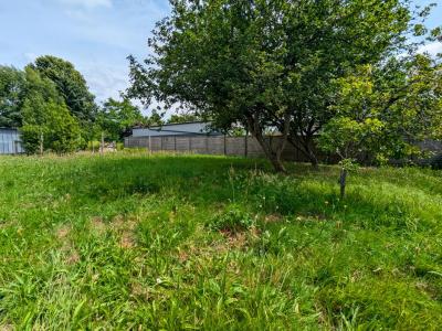 Annonce Vente 5 pices Maison Campbon 44