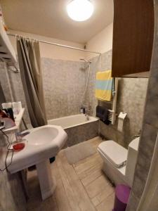 For rent Ceyzeriat 1 room 22 m2 Ain (01250) photo 3
