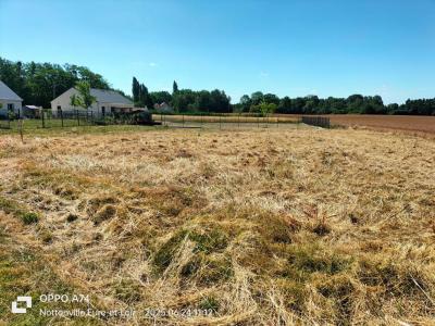 Annonce Vente Terrain Nottonville 28