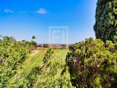 For sale Argeles-sur-mer 7 rooms 230 m2 Pyrenees orientales (66700) photo 3