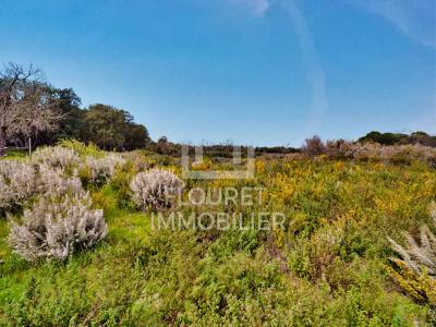 For sale Argeles-sur-mer 7 rooms 230 m2 Pyrenees orientales (66700) photo 4