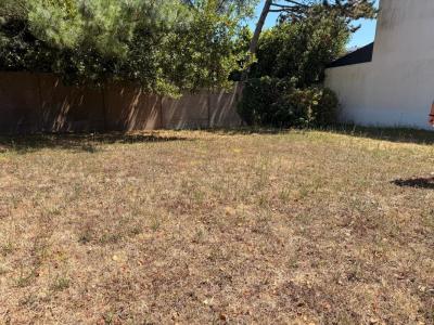Annonce Vente Terrain Baule-escoublac 44
