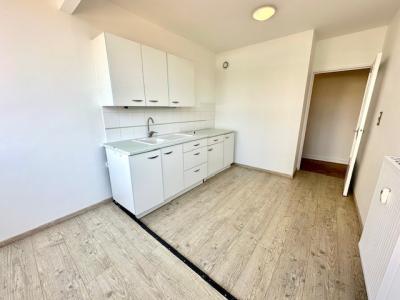 For rent Lyon-3eme-arrondissement 4 rooms 83 m2 Rhone (69003) photo 4