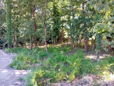 Acheter Maison 90 m2 Notre-dame-de-riez