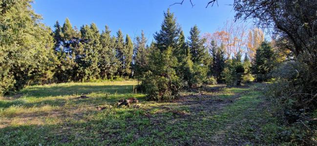 For sale Maussane-les-alpilles 291 m2 Bouches du Rhone (13520) photo 2