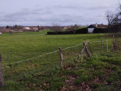 Acheter Terrain 2200 m2 Villeneuve-bellenoye-et-la-maize